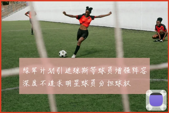 绿军计划引进琼斯等球员增强阵容深度不追求明星球员分担球权