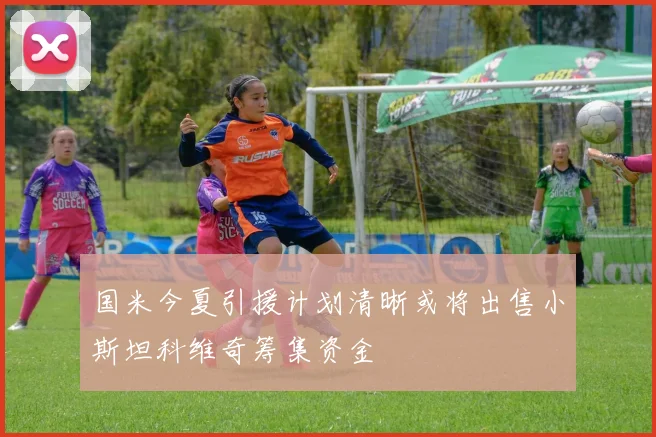 国米今夏引援计划清晰或将出售小斯坦科维奇筹集资金